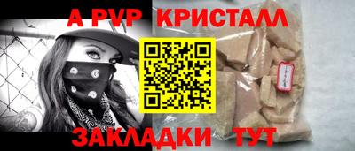 бошки Кингисепп
