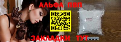 бошки Кингисепп