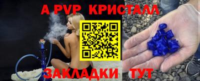 бошки Кингисепп