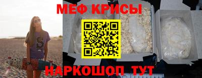 бошки Кингисепп