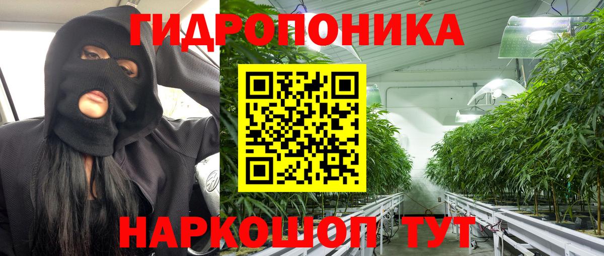 Конопля SATIVA & INDICA  Вход с VPN  Кстово  МАРИХУАНА планчик 